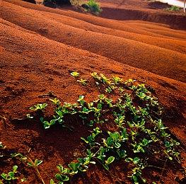 Steam新一周销量榜 Steam deck十三连冠